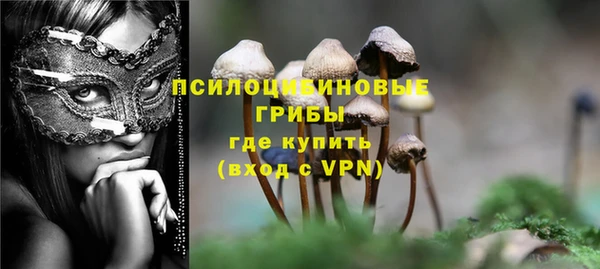 гидропоника Медногорск