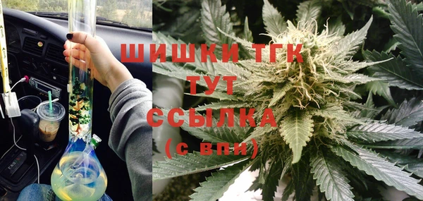 СК Мегион