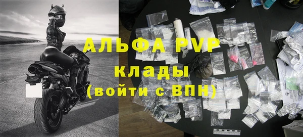 прущие грибы Кострома