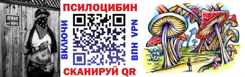 shop официальный сайт KRAKEN ссылки Сургут Галлюциногенные грибы Psilocybe