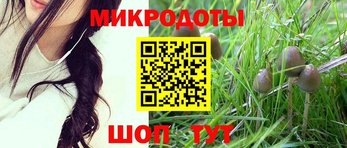 Псилоцибиновые грибы мухоморы  Вход с VPN  купить наркотик  Псилоцибиновые грибы MAGIC MUSHROOMS  Сургут 