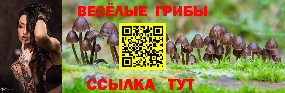 Галлюциногенные грибы мицелий Сургут